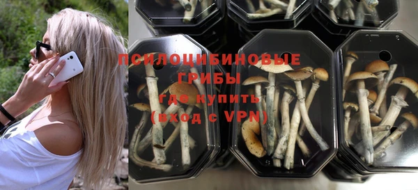 молекула духа Мегион