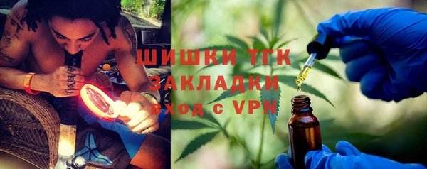 молекула духа Мегион