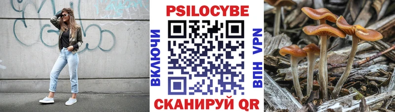 Псилоцибиновые грибы мицелий  Пласт 