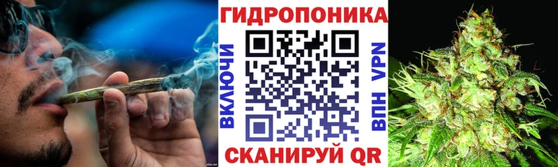 Марихуана индика  где купить   Пласт 